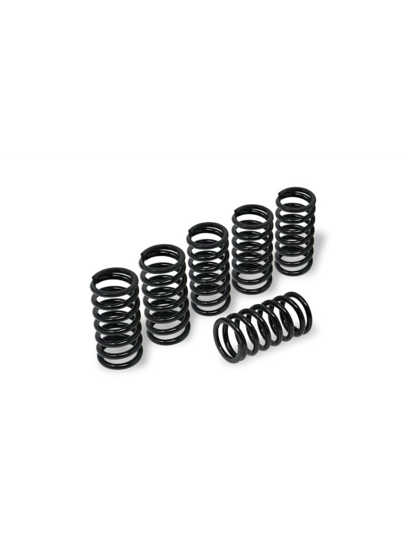 Clutch Spring Kit H38 Ducati SuperSport 900ie (1998-2002)