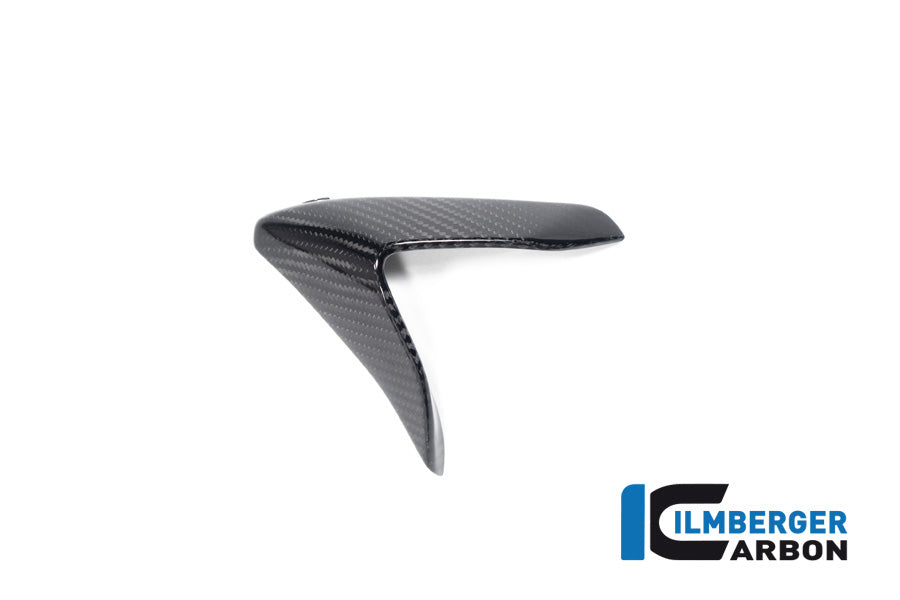 Winglet Kit links glanzend carbon Aprilia RSV4 (2021+)