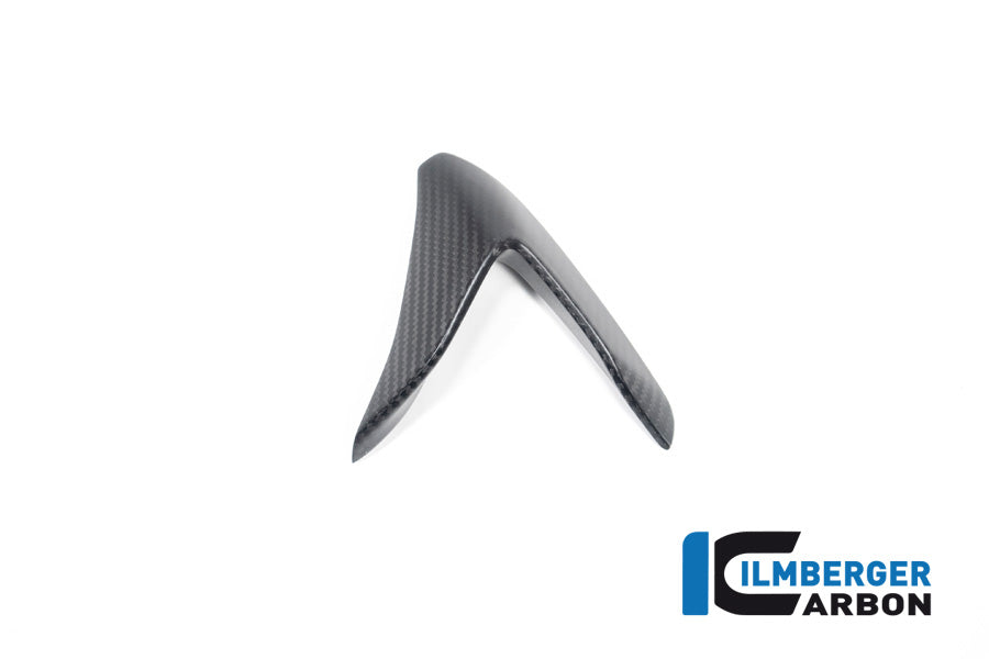 Winglet Kit links mat carbon Aprilia RSV4 (2021+)