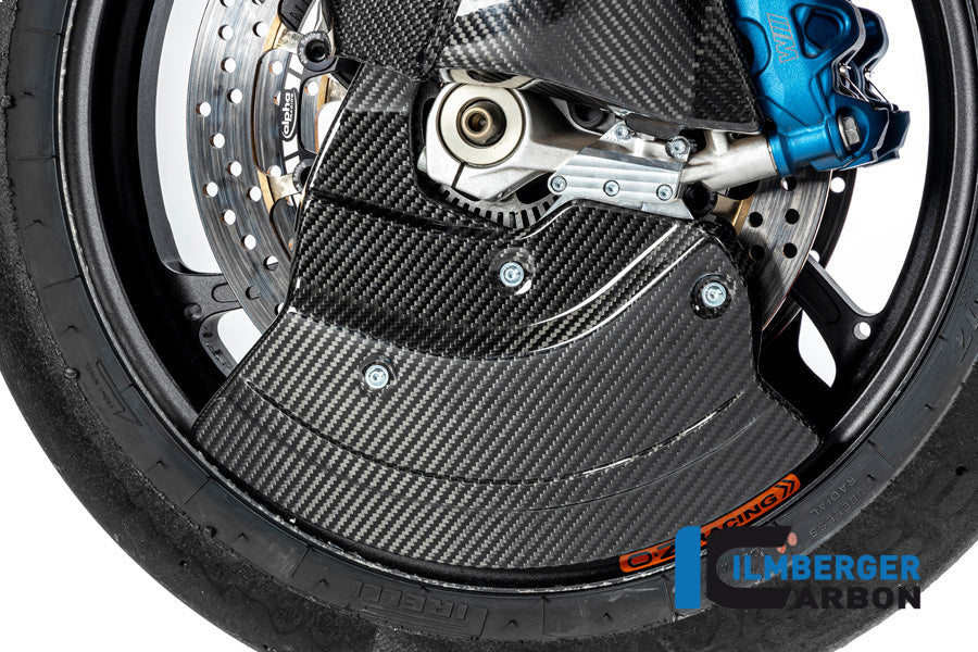 Remschijfbeschermer set glanzend carbon BMW M 1000 R (2025+)