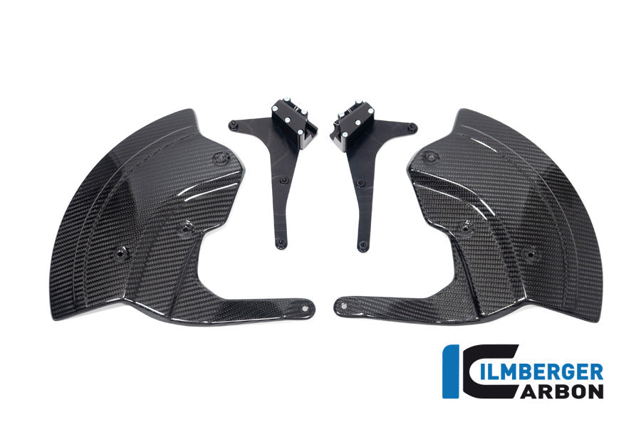 Remschijfbeschermer set glanzend carbon BMW M 1000 R (2025+)
