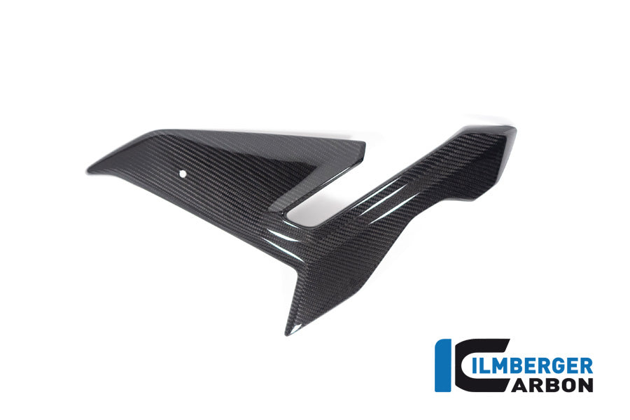 Zijkuip middepannel links (Street) glanzend carbon BMW M 1000 R (2025+)