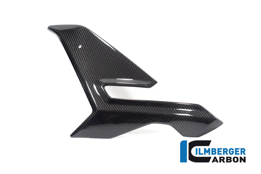 Zijkuip middepannel links (Street) glanzend carbon BMW M 1000 R (2023-2024)