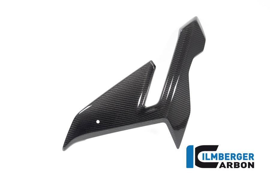 Zijkuip middepannel links (Street) glanzend carbon BMW M 1000 R (2023-2024)