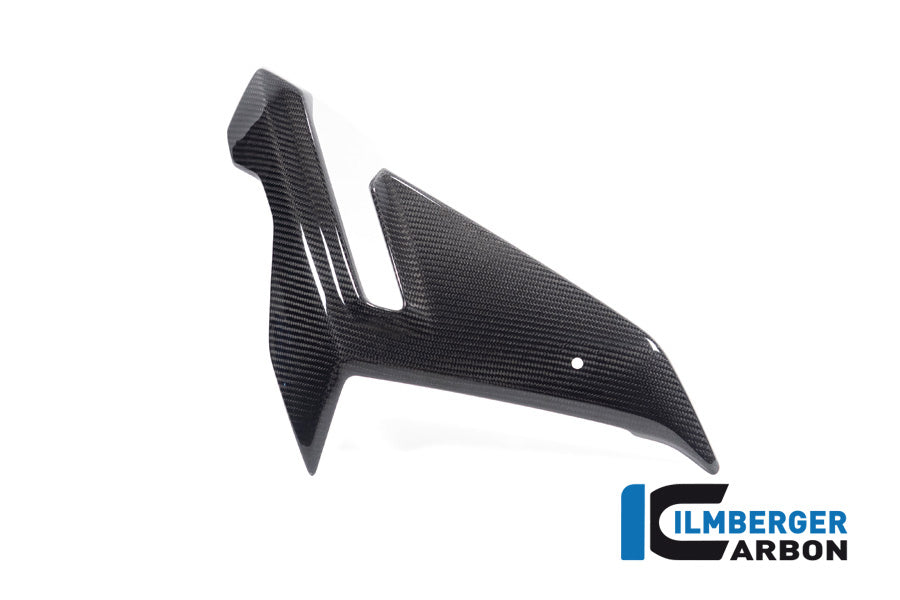 Zijkuip middepannel rechts (Street) glanzend carbon BMW M 1000 R (2025+)