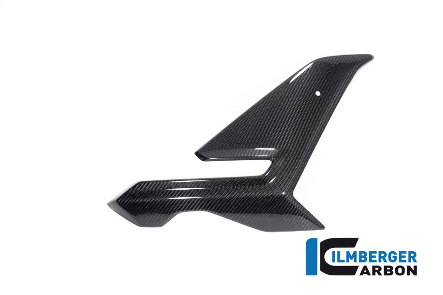 Zijkuip middepannel rechts (Street) glanzend carbon BMW M 1000 R (2023-2024)