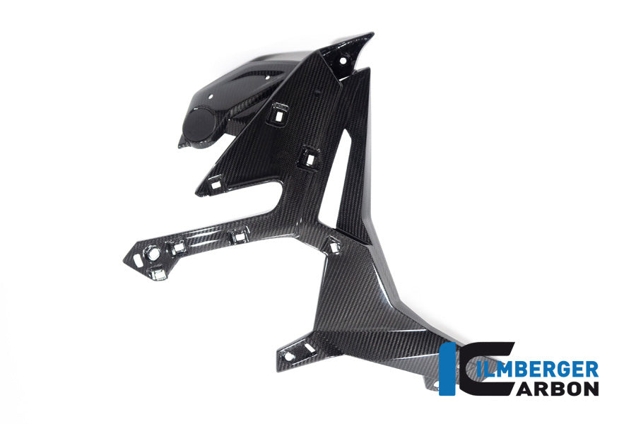 Radiator Cover rechts glanzend carbon BMW M 1000 R (2023-2024)