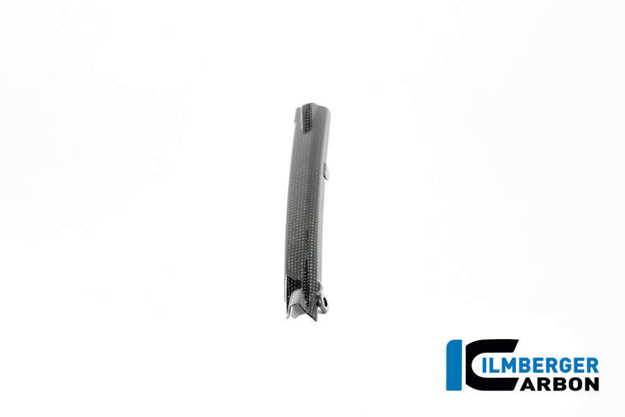 Remleiding cover glanzend carbon carbon BMW R12S (2025+)