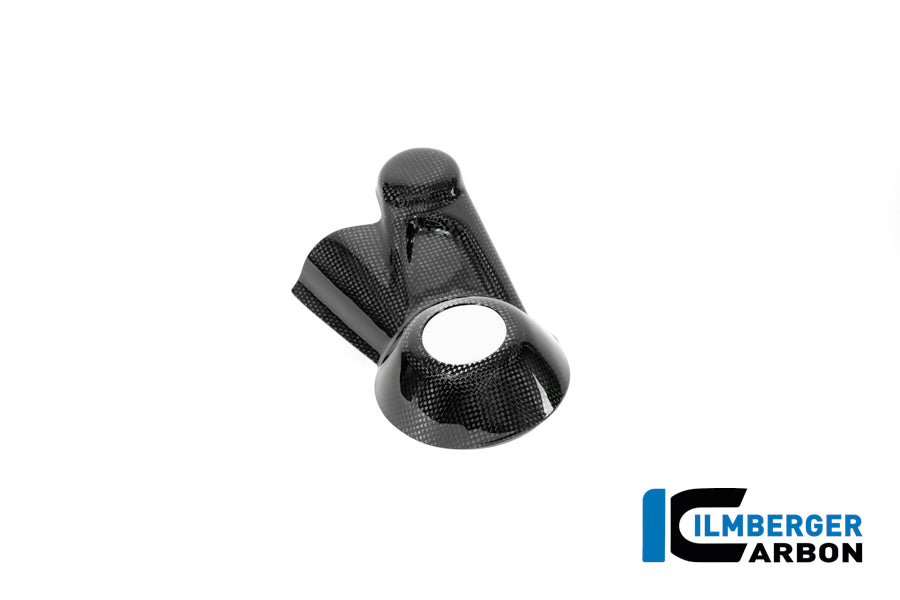 Cardanas beschermer glanzend carbon carbon BMW R12S (2025+)