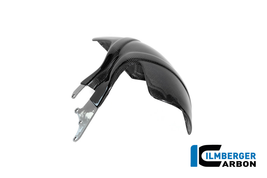Achterspatbord (hugger) glanzend carbon BMW R12S (2025+)