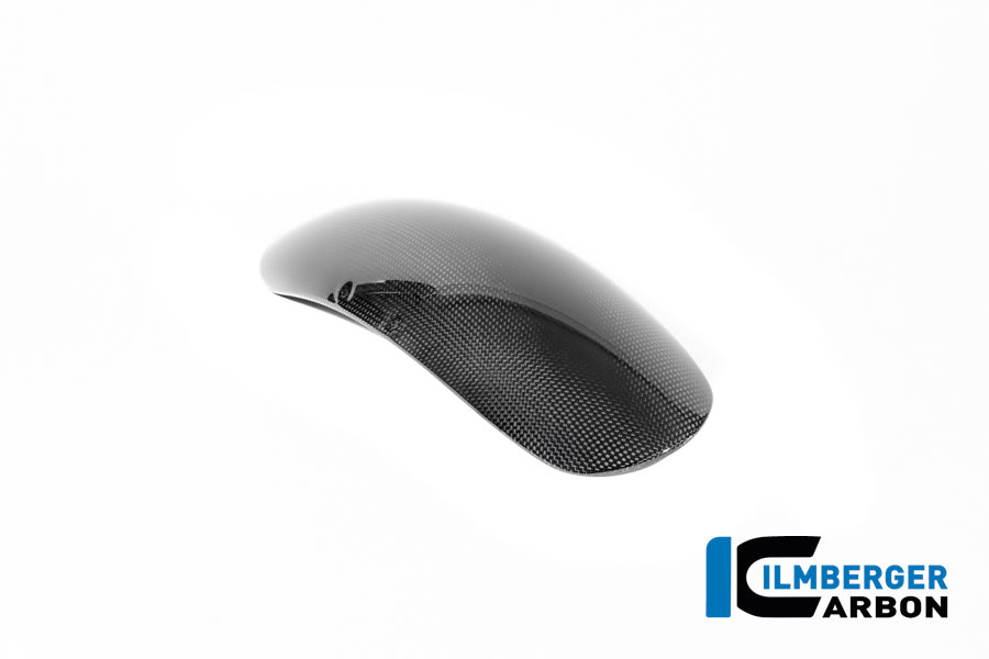 Voorspatbord glanzend carbon R12 BMW Nine T (2025+)