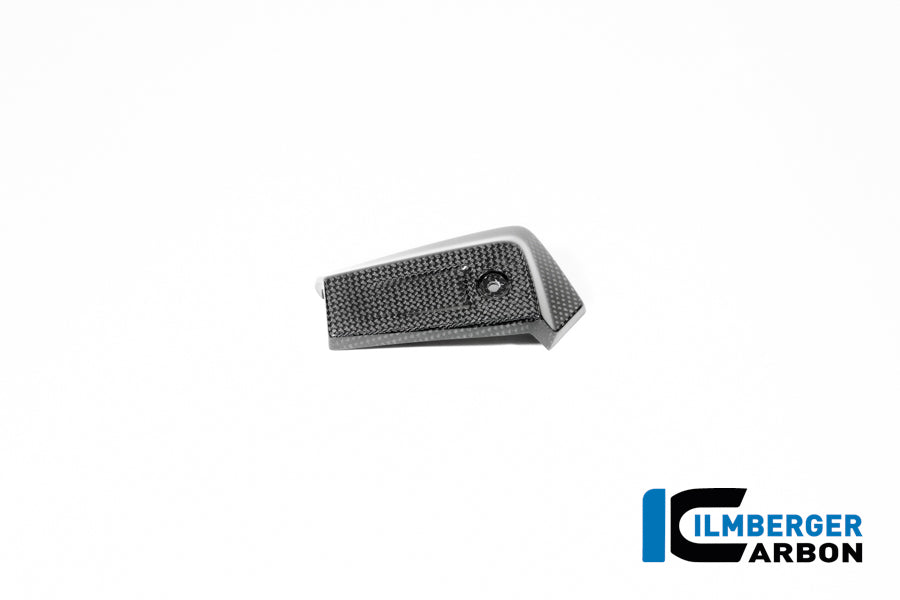 Oliekoeler zijpaneel links glanzend carbon R12 G/S (2025+)