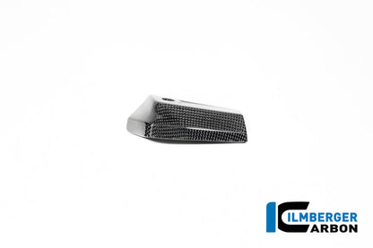 Oliekoeler cover links glanzend carbon BMW R12S (2025+)