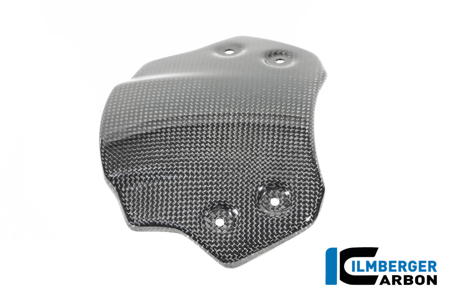 Windscherm glanzend carbon BMW R12S (2025+)