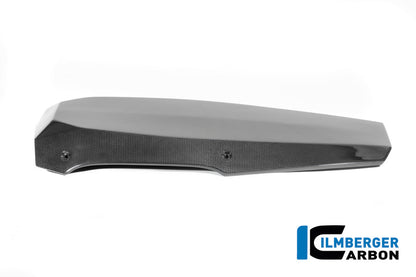 Motorspoiler glanzend carbon BMW R12S (2025+)