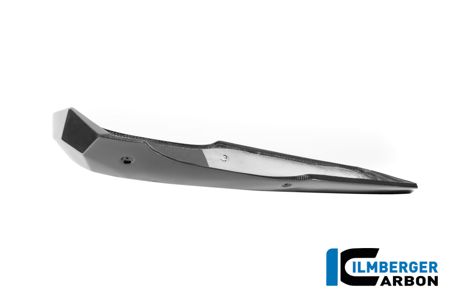 Motorspoiler glanzend carbon BMW R12S (2025+)