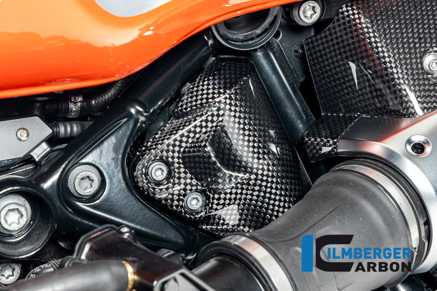 Tank ontluchting cover glanzend carbon BMW R12S (2025+)