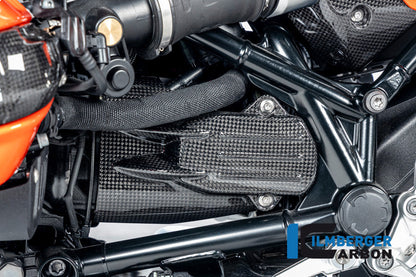 Startmotor cover glanzend carbon R12 G/S (2025+)