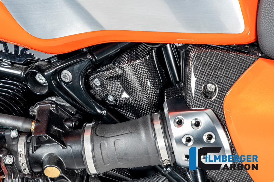 Tank ontluchting cover glanzend carbon BMW R12S (2025+)
