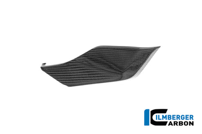 Side Panel Under The Tank Left BMW R 1250 R (2019+)