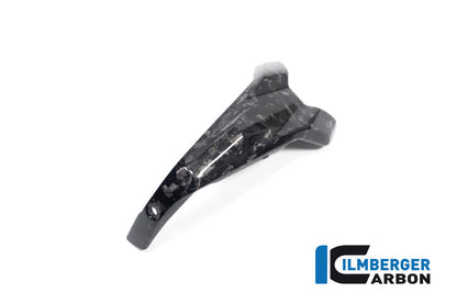 Bougiedop cover links glanzend BDC carbon BMW R1300R Option 719 Kilauea (2025+)