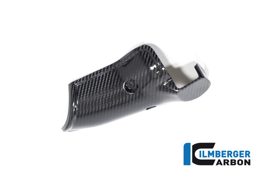 Uitlaat Hitteschild glanzend carbon BMW R1300GS Option 719 Tramuntana 2023+
