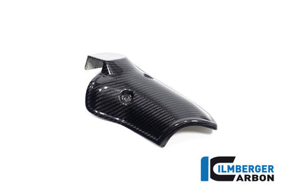 Uitlaat Hitteschild glanzend carbon BMW R1300GS Option 719 Tramuntana 2023+