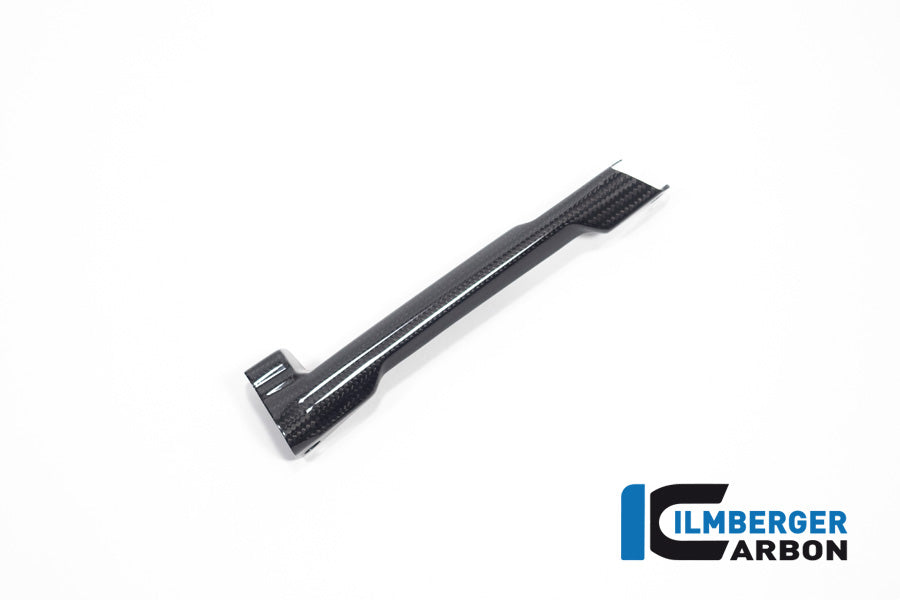 Remleiding cover glanzend carbon BMW R1300GS Triple Black 2023+
