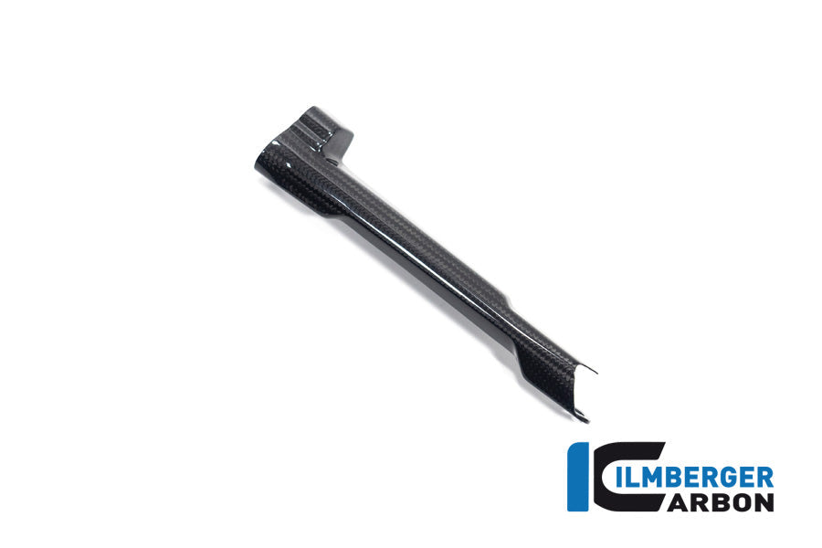 Remleiding cover glanzend carbon BMW R1300GS Trophy 2023+