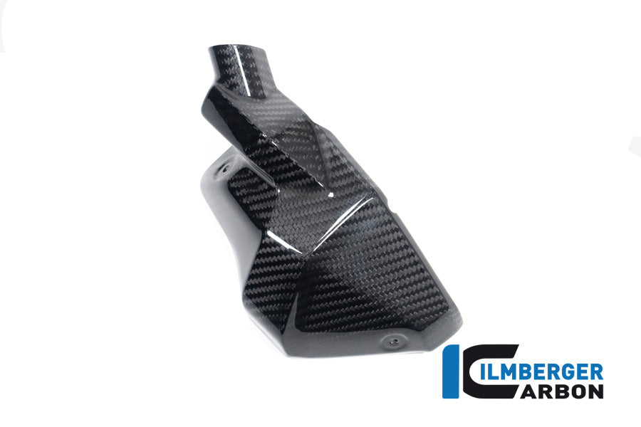 Injector Cover links glanzend carbon BMW R1300GS 2023+