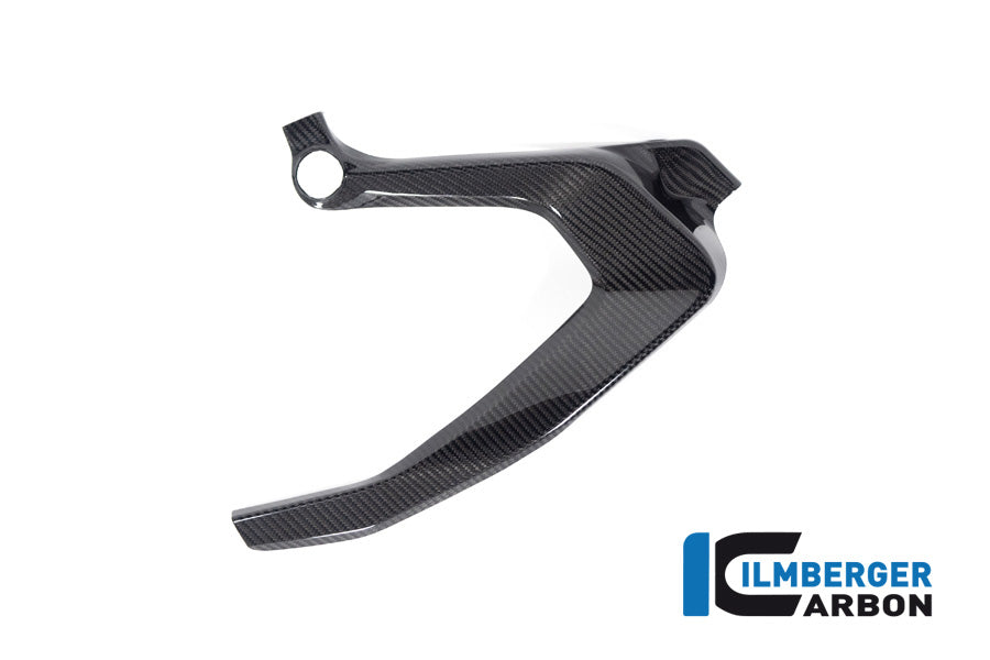 Frame Cover links glanzend carbon BMW R1300GS Option 719 Tramuntana 2023+
