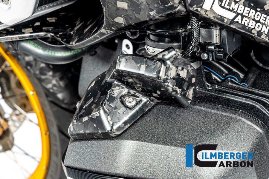 Injector cover links mat BDC carbon BMW R1300R Exclusive (2025+)