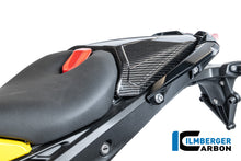 Duozit afdekking carbon hoogglans BMW R1300R Performance (2025+)
