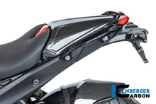 Duozit afdekking carbon hoogglans BMW R1300R Performance (2025+)
