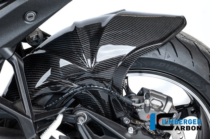 Achterspatbord carbon hoogglans BMW R1300R Option 719 Kilauea (2025+)