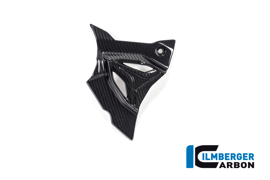 Voortandwiel deksel cover glanzend carbon BMW M 1000 R (2025+)