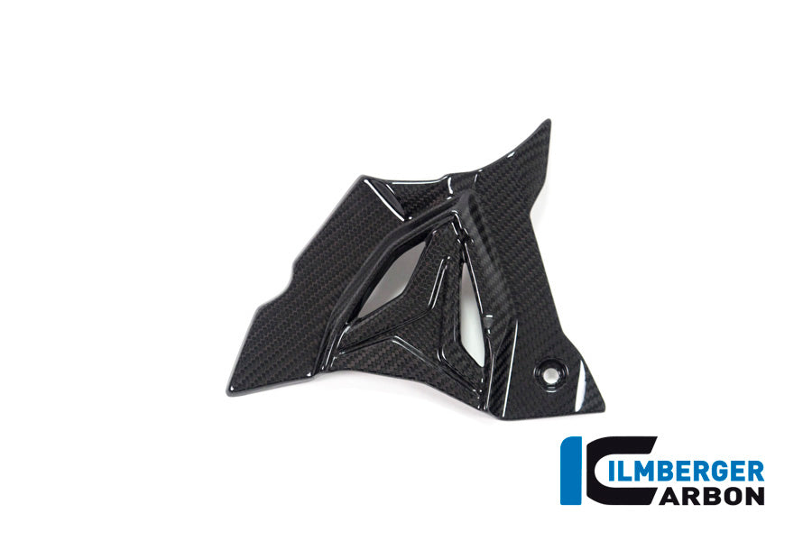 Voortandwiel deksel cover glanzend carbon BMW M 1000 R (2025+)