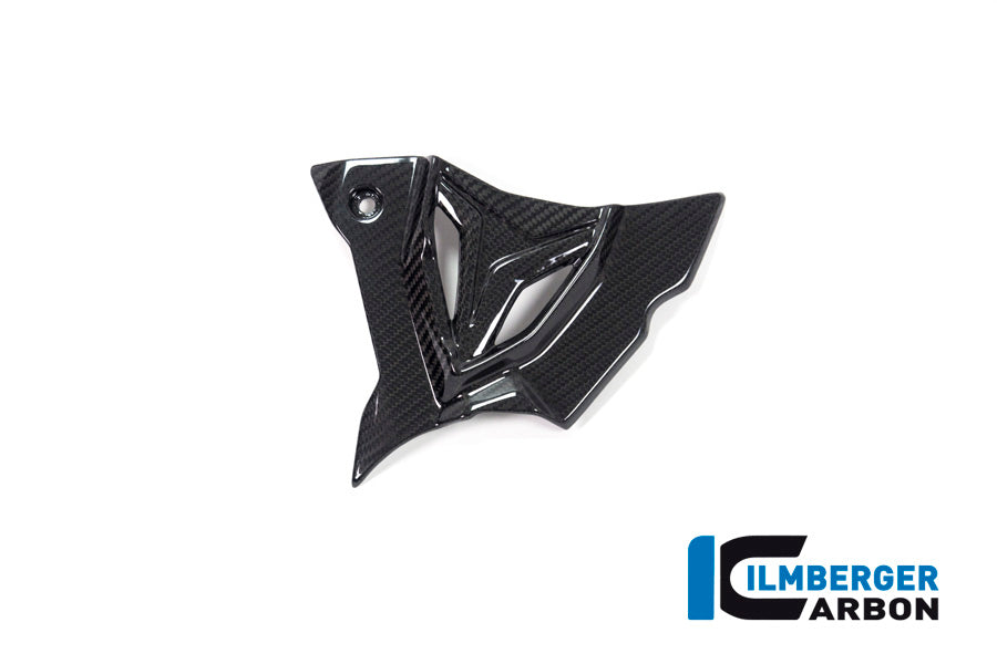 Voortandwiel deksel cover glanzend carbon BMW M 1000 R (2025+)
