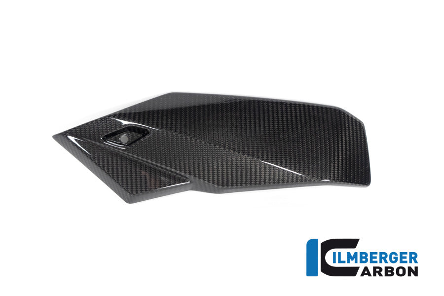 Bellypan left side Glossy Carbon BMW S1000R (2021-2024)