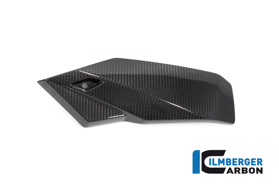 Bellypan links glanzend carbon BMW M 1000 R (2023-2024)