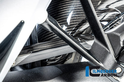 Remleiding cover glanzend carbon BMW R1300GS Option 719 Tramuntana 2023+