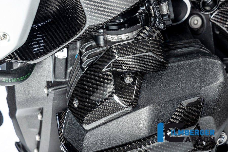 Injector Cover links glanzend carbon BMW R1300GS Option 719 Tramuntana 2023+
