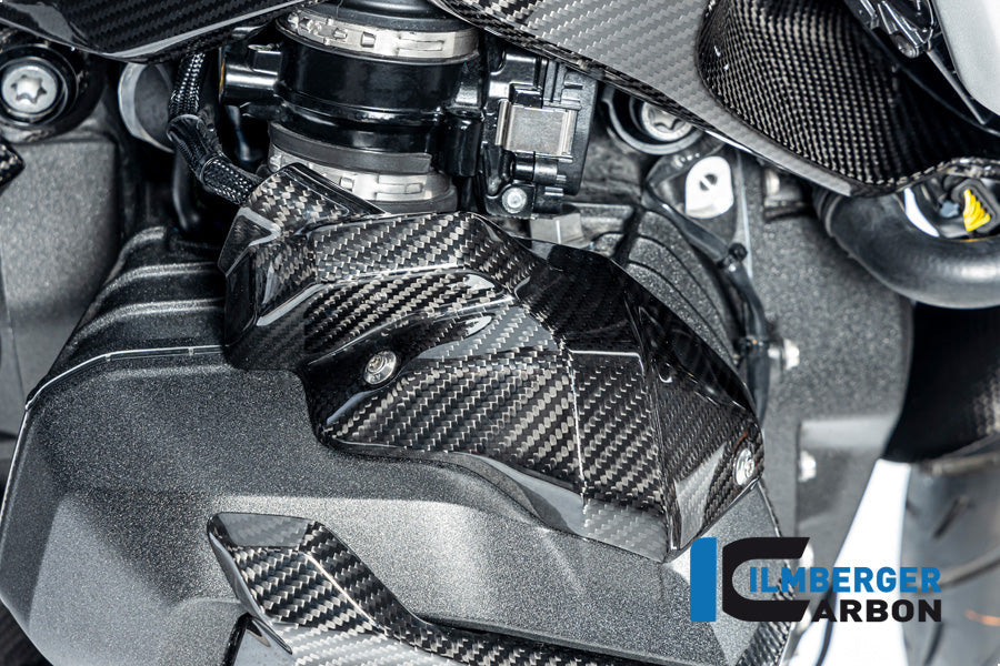 Injector Cover rechts glanzend carbon BMW R1300GS Option 719 Tramuntana 2023+