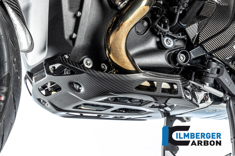 Motorblok beschermer glanzend carbon BMW R1300GS Option 719 Tramuntana 2023+