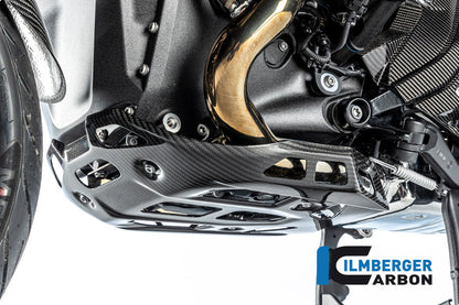 Motorblok beschermer glanzend carbon BMW R1300GS Option 719 Tramuntana 2023+