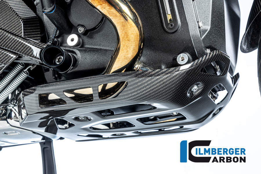 Motorblok beschermer glanzend carbon BMW R1300GS Option 719 Tramuntana 2023+