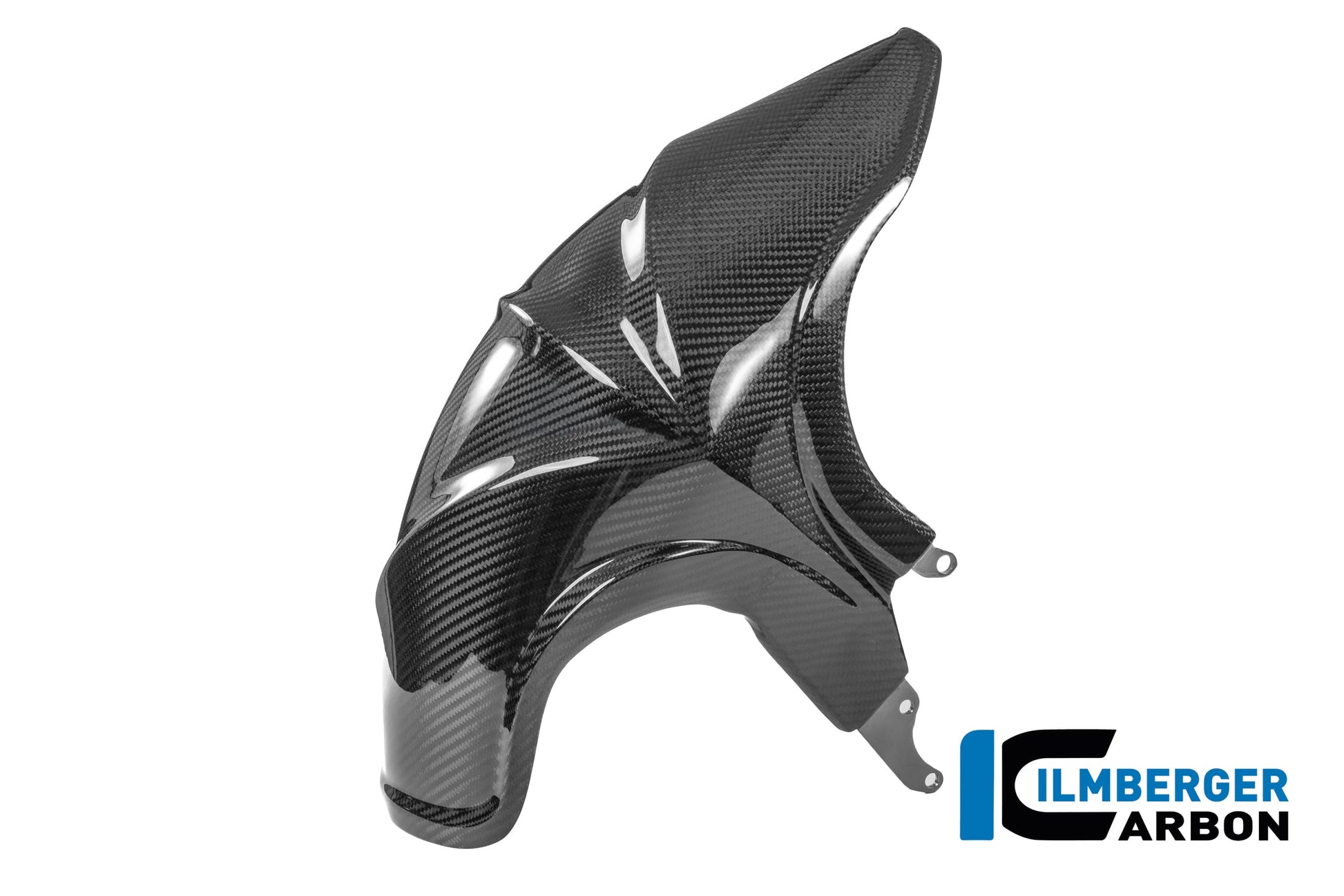 Achterspatbord carbon hoogglans BMW R1300R Option 719 Kilauea (2025+)