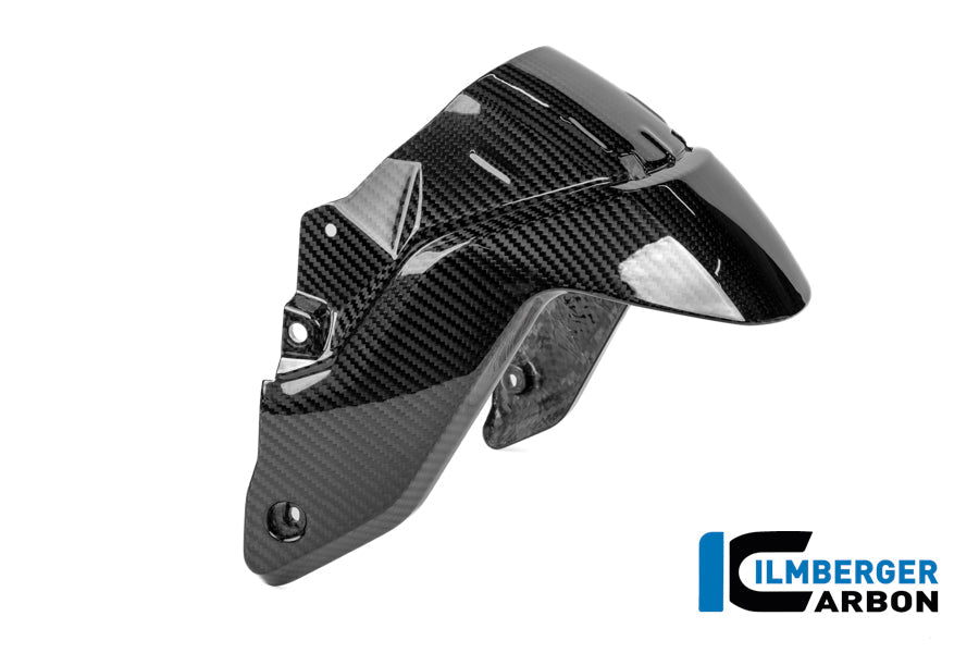 Voorspatbord carbon hoogglans BMW R1300R Option 719 Kilauea (2025+)