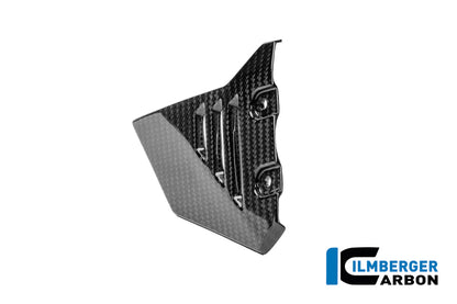 Frame driehoek-cover links voorste deel glanzend carbon BMW R1300GS Adventure Option 719 Karakorum (2024+)