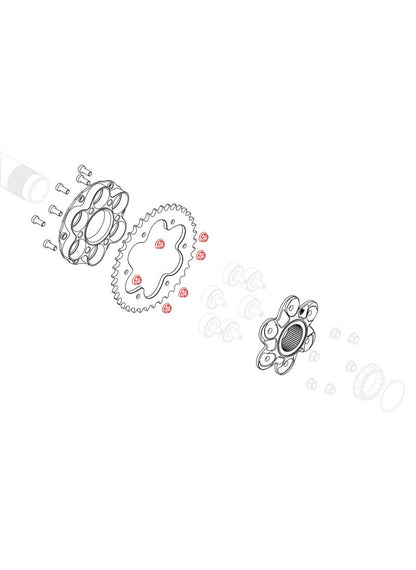 Quick-Change Achtertandwiel moerenset Set CNC Racing - Ducati Diavel V4 RS (2025+)